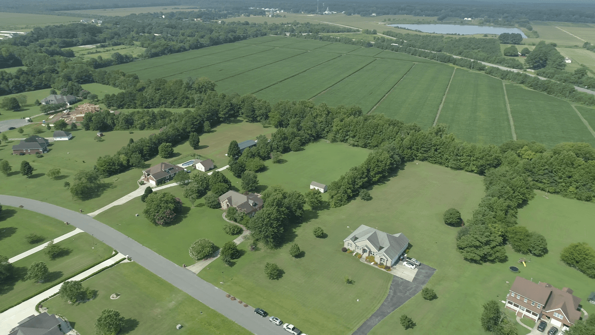Grassfield